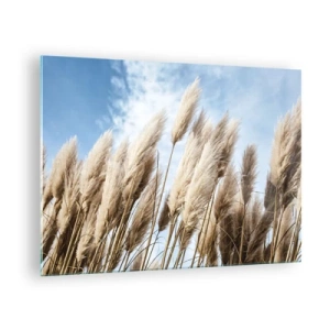 Obraz na skle - Dekorativní pampové trávy proti modré obloze - 70x50cm - Slunečné a větrné pohlazení - Moderní nástěnná dekorace do obývacího pokoje a ložnice ARTTOR