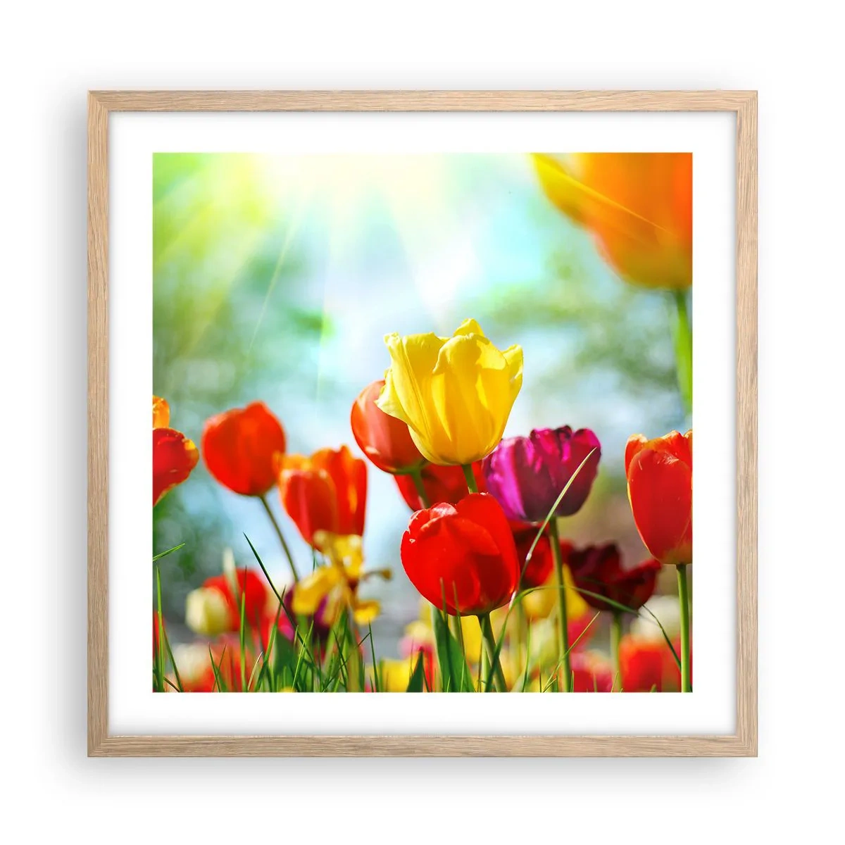 Plakát v rámu světlý dub - Všechny barvy slunce - 50x50 cm