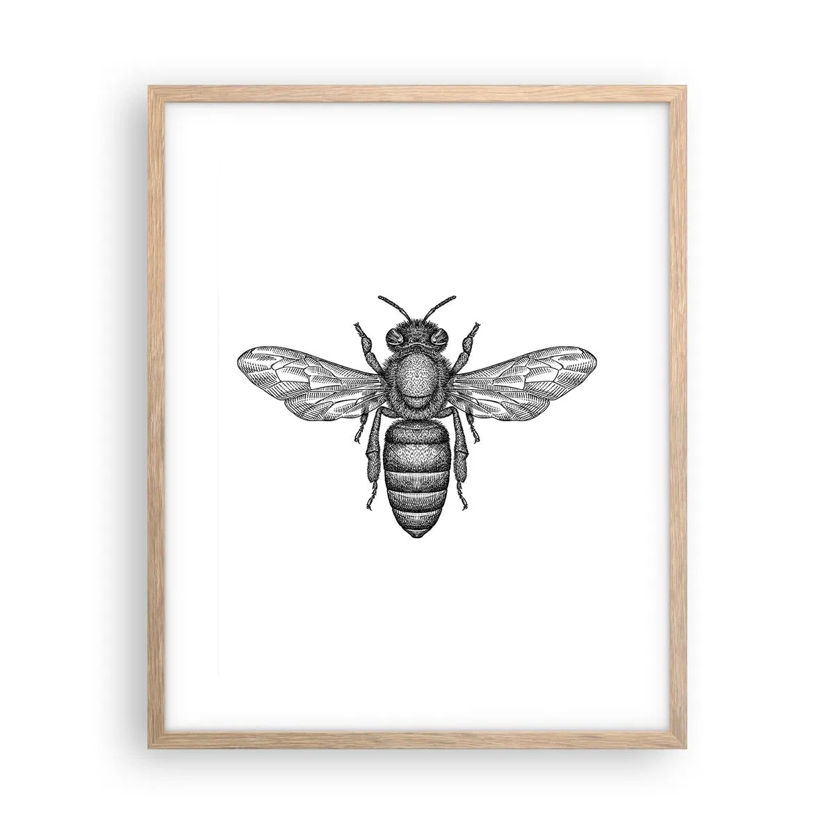Plakát v rámu světlý dub - Hmyzí portrét - 40x50 cm