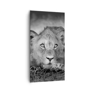 Obraz na plátně - Královské štěně - 65x120 cm