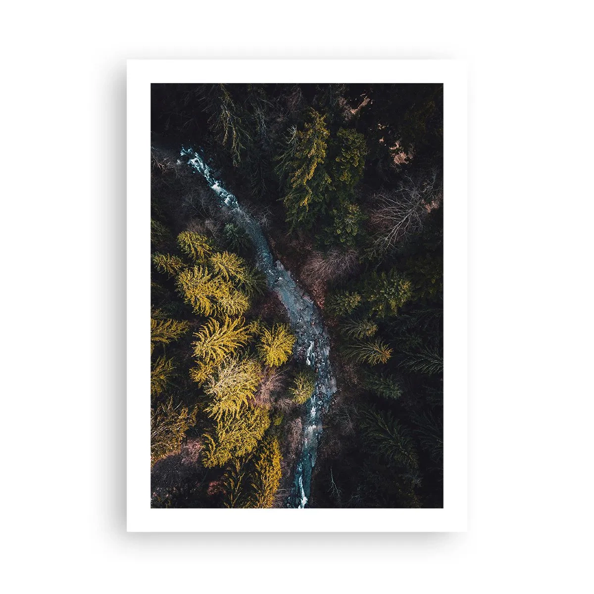 Plakát - Rychle, stále rychleji - 50x70 cm