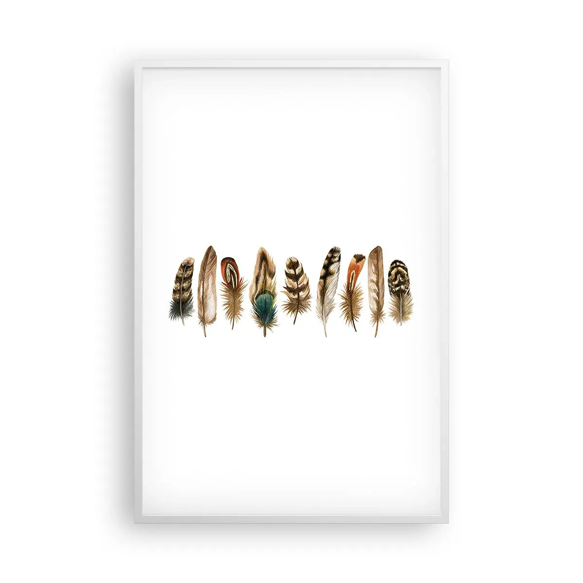 Plakát v bílém rámu - Opeřená variace - 61x91 cm