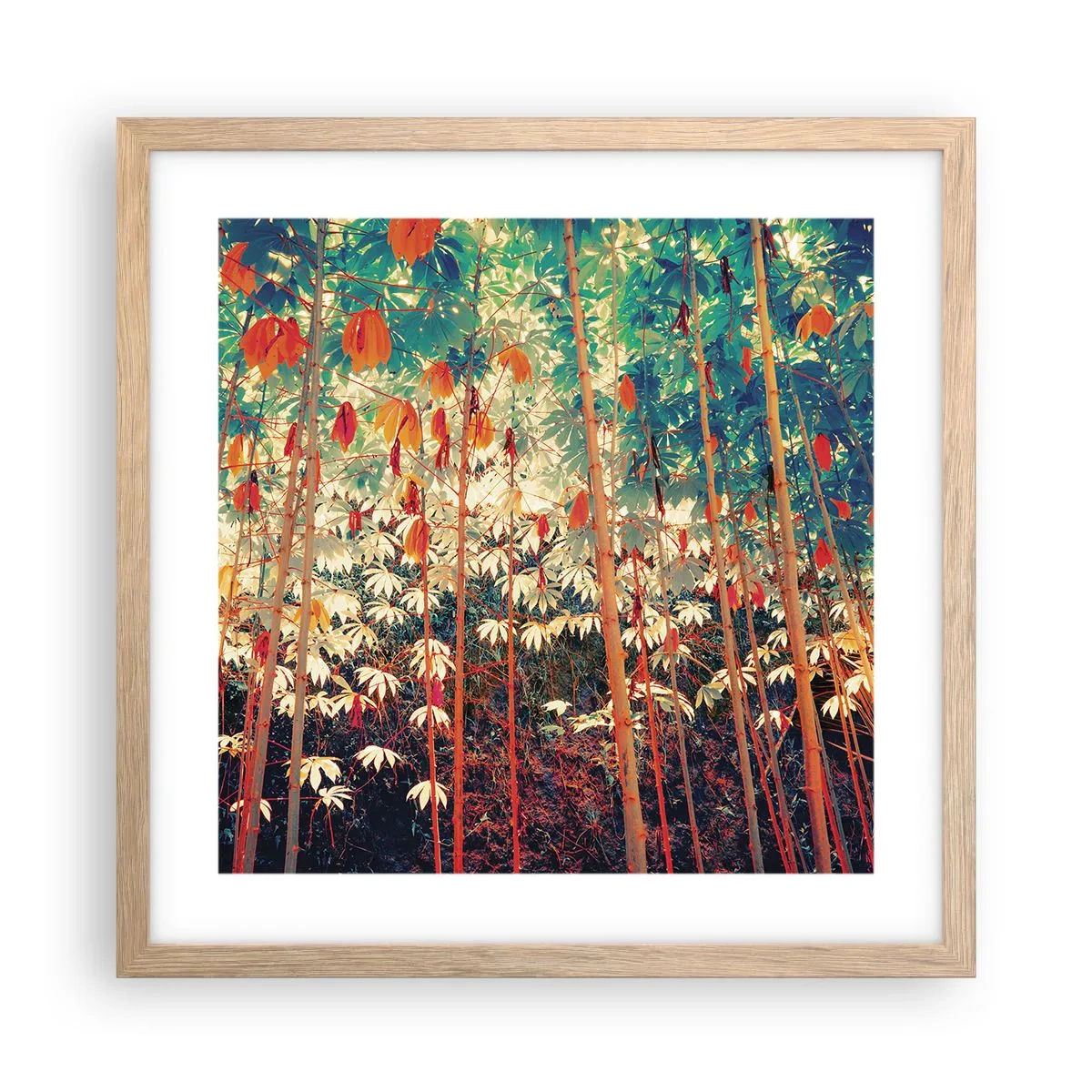 Plakát v rámu světlý dub - Tajný život listů - 40x40 cm