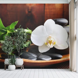 Fototapeta Premium Sand - Oddejte se doteku přírody - Květiny, Orchidej, Orchidej - 100x70 cm