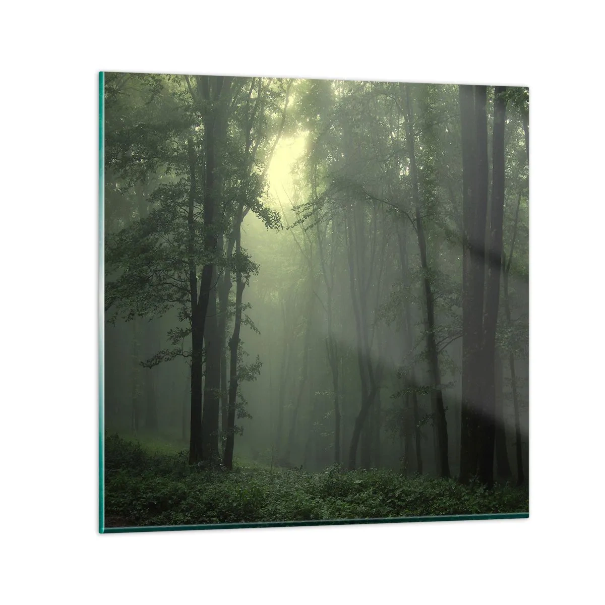 Obraz na skle - Než se probudí - 60x60 cm