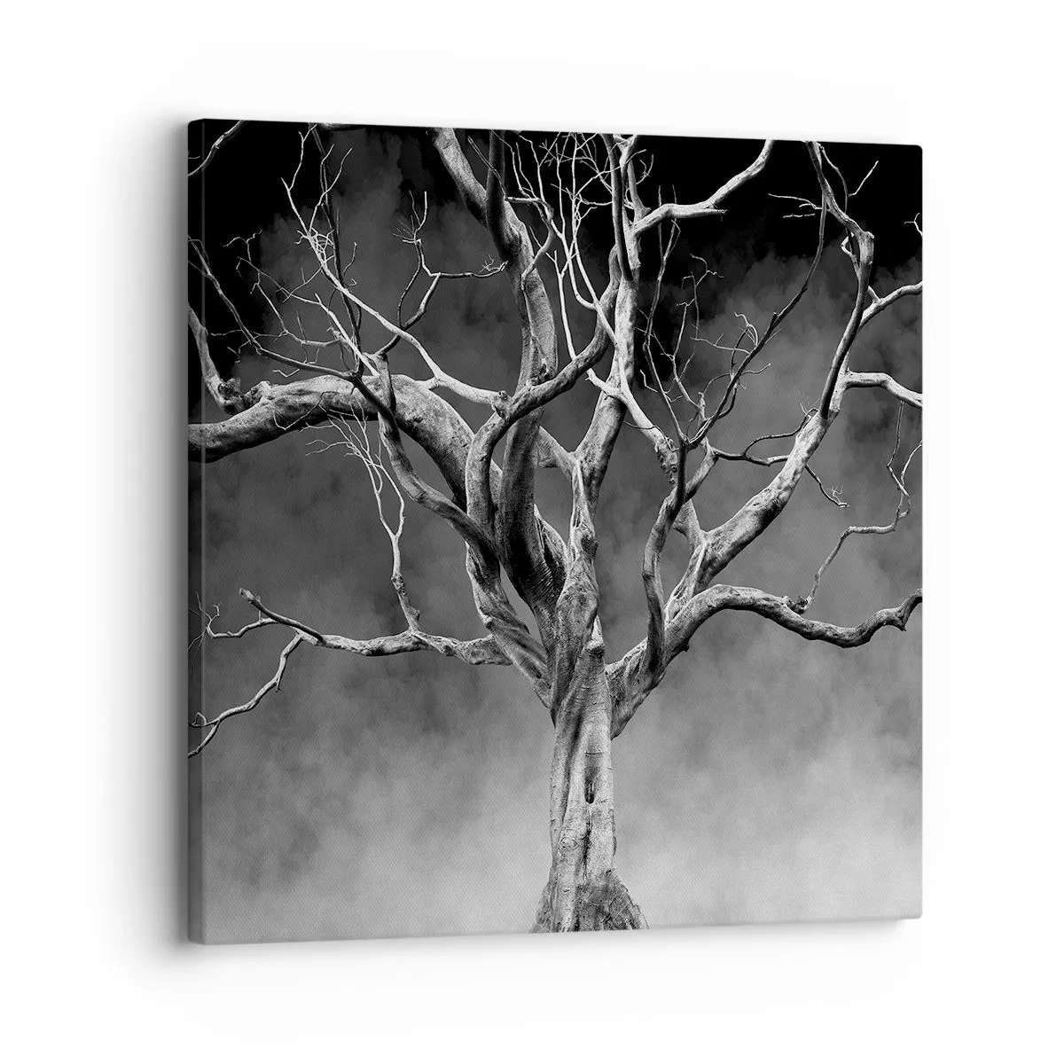 Obraz na plátně - Původní a svaté - 30x30 cm