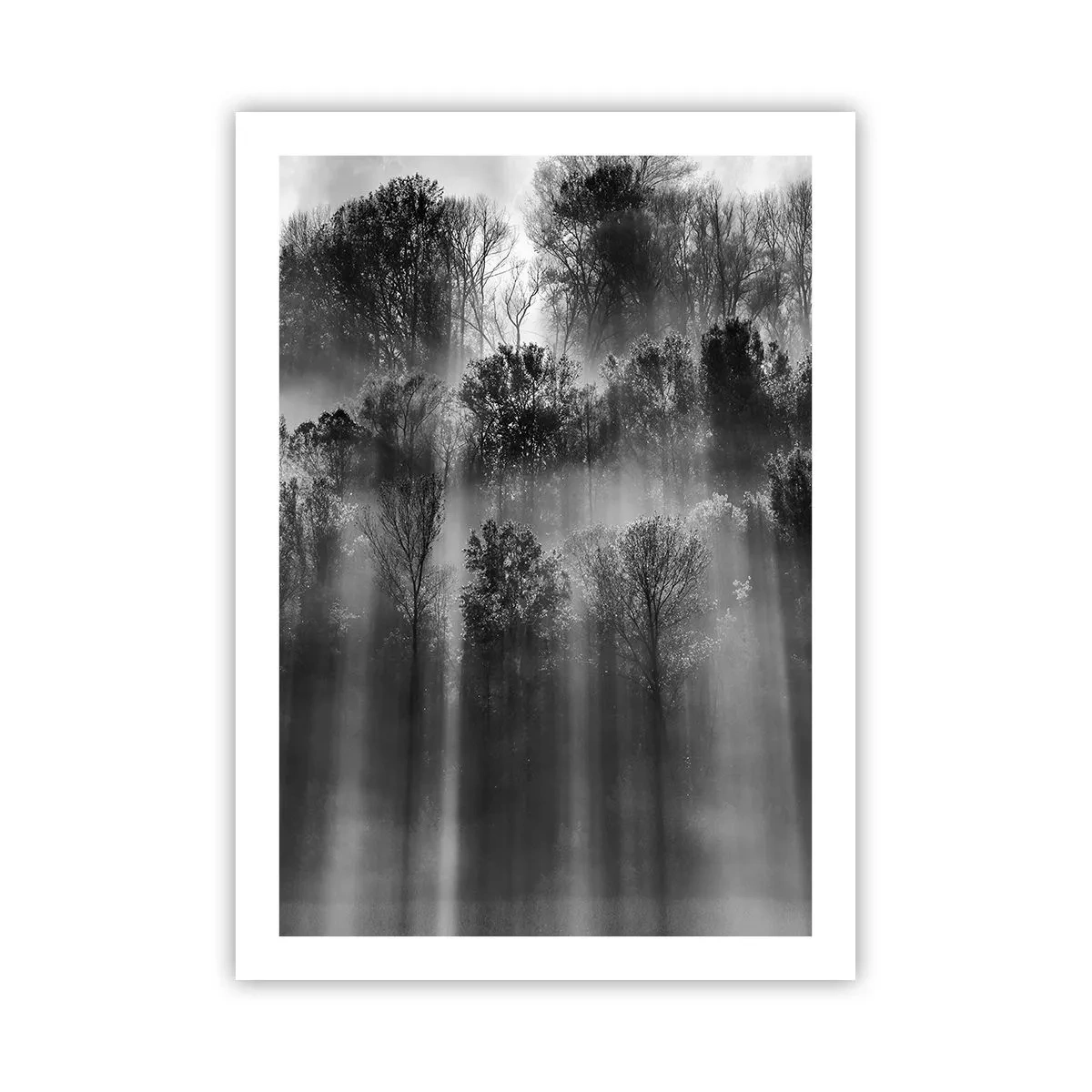 Plakát - V paprscích světla - 50x70 cm