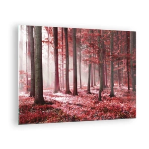Obraz na skle - Podzimní les v červených barvách a ranní mlha - 70x50cm - Červená je stejně krásná - Moderní nástěnná dekorace do obývacího pokoje a ložnice ARTTOR