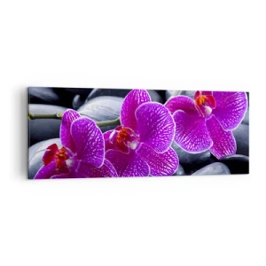 Obraz na plátně - Kameny se rozzářily nadšením - 140x50 cm