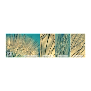 Vzor Fototapety Samolepicí Deluxe Sticker - Čekání na vítr - Pampeliška, Louka, Příroda - 100x30 cm