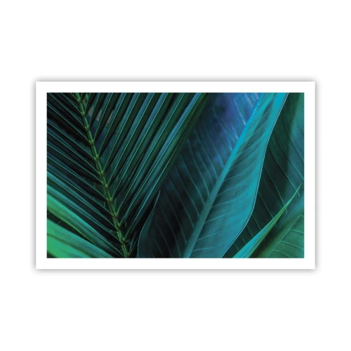 Plakát - Anatomie zelené - 91x61 cm