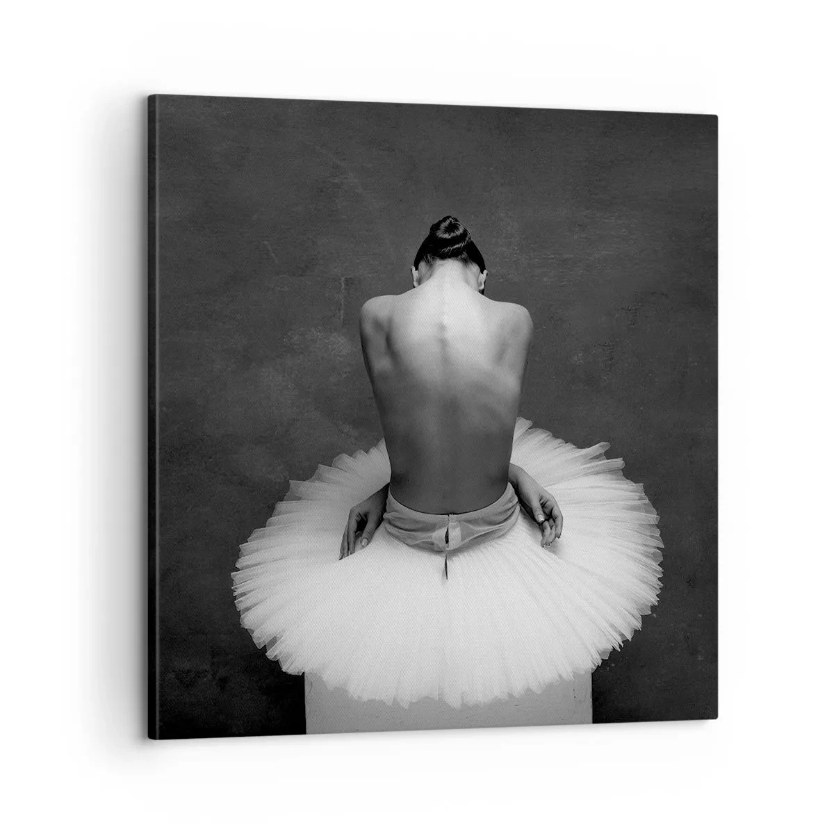 Obraz na plátně - Právě kvete - 60x60 cm