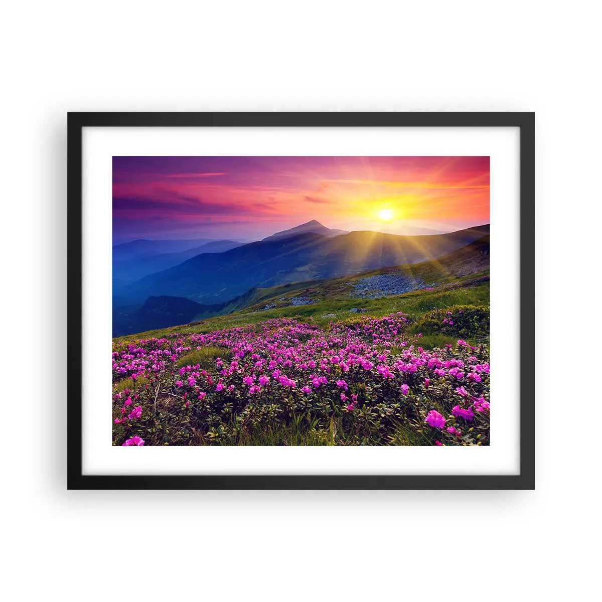 Plakát v černém rámu - …A kolem voní kosodřevina a voní byliny - 50x40 cm