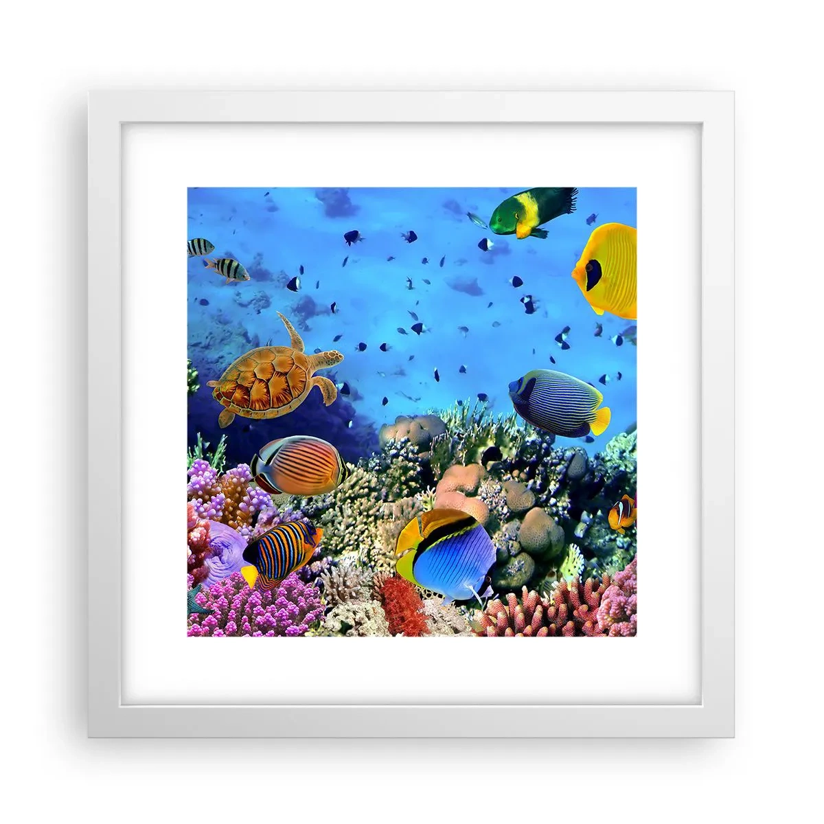 Plakát v bílém rámu - Co víme o životě… - 30x30 cm