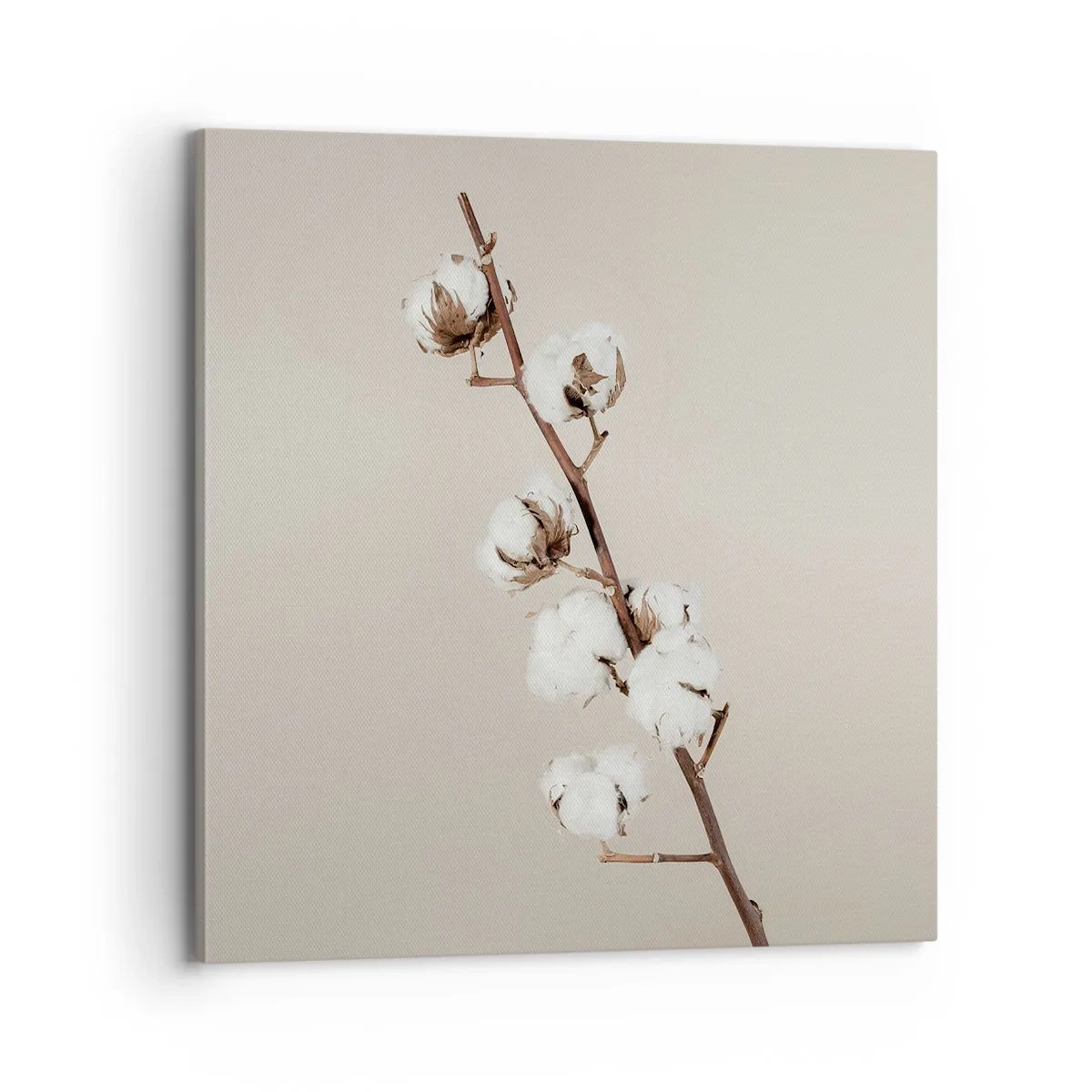 Obraz na plátně - U zdroje měkkosti - 70x70 cm