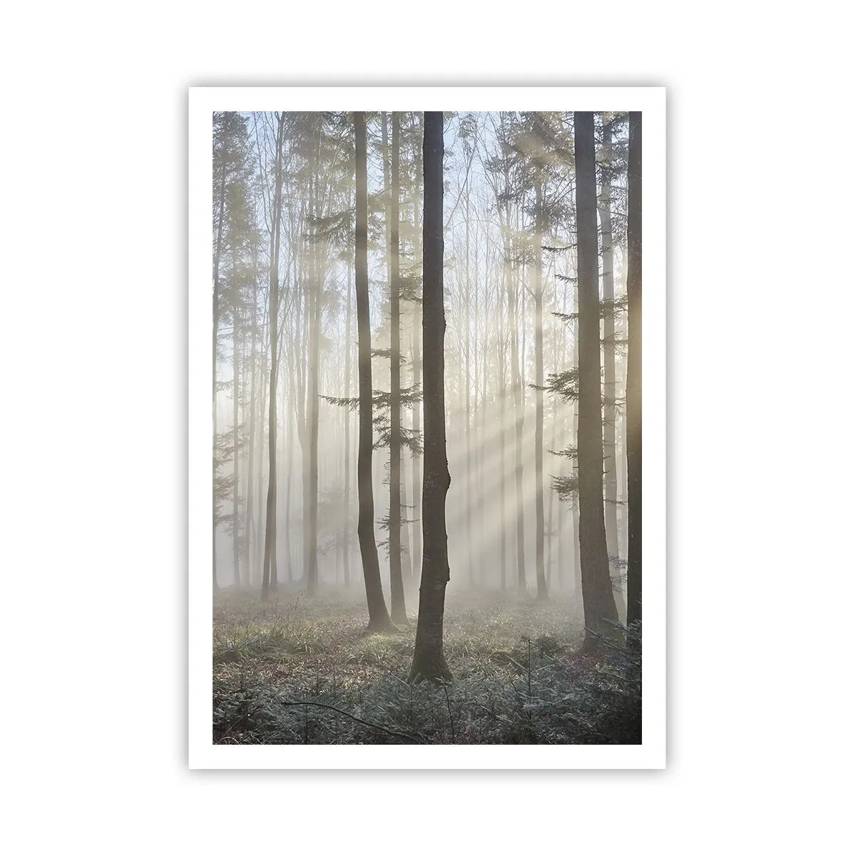 Plakát - Mlha se také vzbudila - 70x100 cm