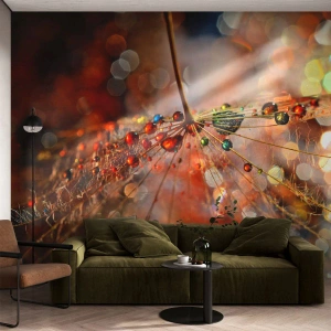Fototapeta Standard Eco - Navlečeno na pavučinu - Abstrakce, pavoučí síť, Kus - 200x140 cm