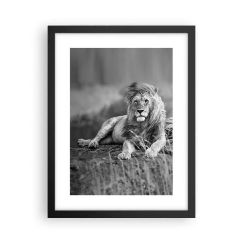 Plakát v černém rámu - Královská siesta - 30x40 cm