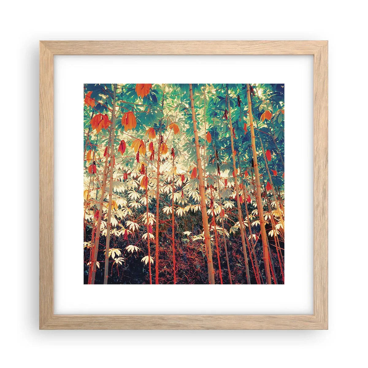 Plakát v rámu světlý dub - Tajný život listů - 30x30 cm