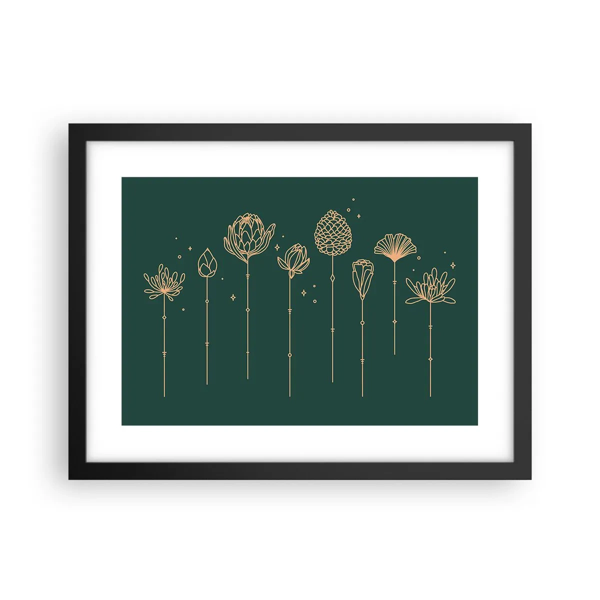 Plakát v černém rámu - Bylinky - 40x30 cm