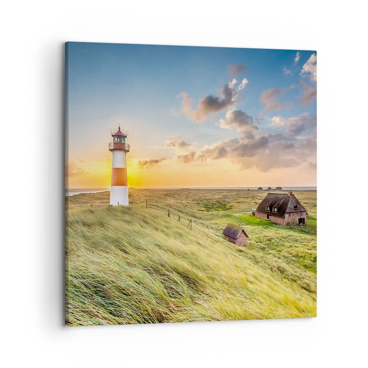 Obraz na plátně - Mezi vlnami - 50x50 cm