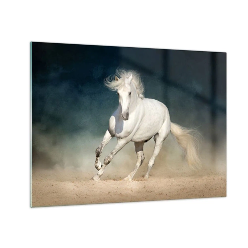 Obraz na skle - Bílý kůň cválající po písku proti tmavé obloze. - 70x50cm - Svoboda v čistém stavu - Moderní nástěnná dekorace do obývacího pokoje a ložnice ARTTOR