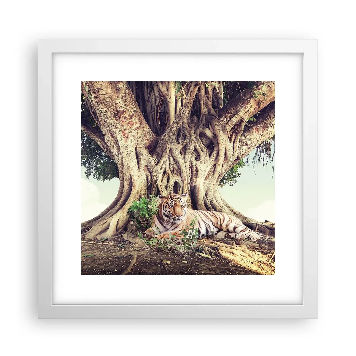 Plakát v bílém rámu - Pohled z knihy Mojžíšovy - 30x30 cm