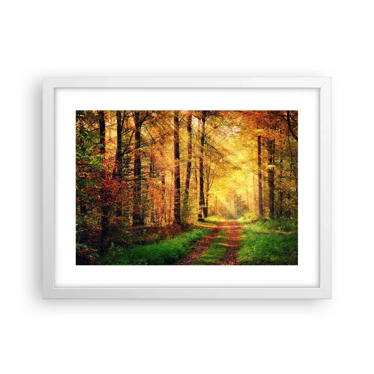 Plakát v bílém rámu - Lesně-zlaté ticho - 40x30 cm
