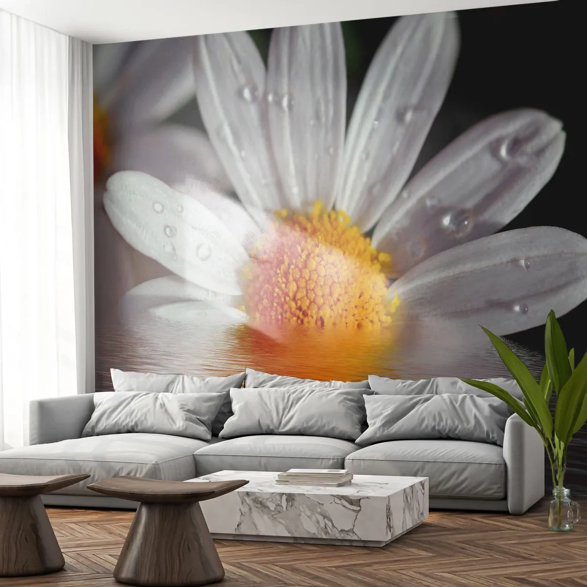 Fototapeta Standard Eco - Vycházející slunce sedmikrásky - Květ, Heřmánek, Příroda - 400x280 cm