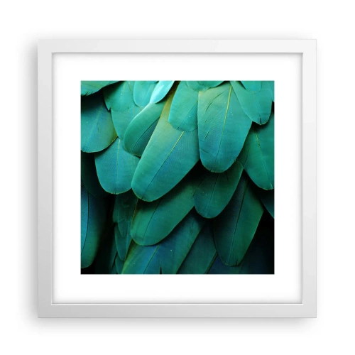 Plakát v bílém rámu - Přesnost papouščí povahy - 30x30 cm