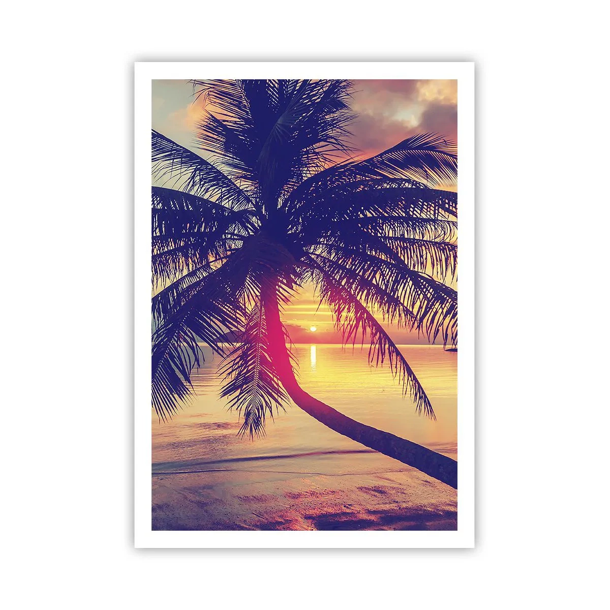 Plakát - Večer pod palmami - 70x100 cm