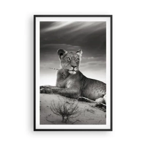 Plakát v černém rámu - Odpočinek královny pouště - 61x91 cm