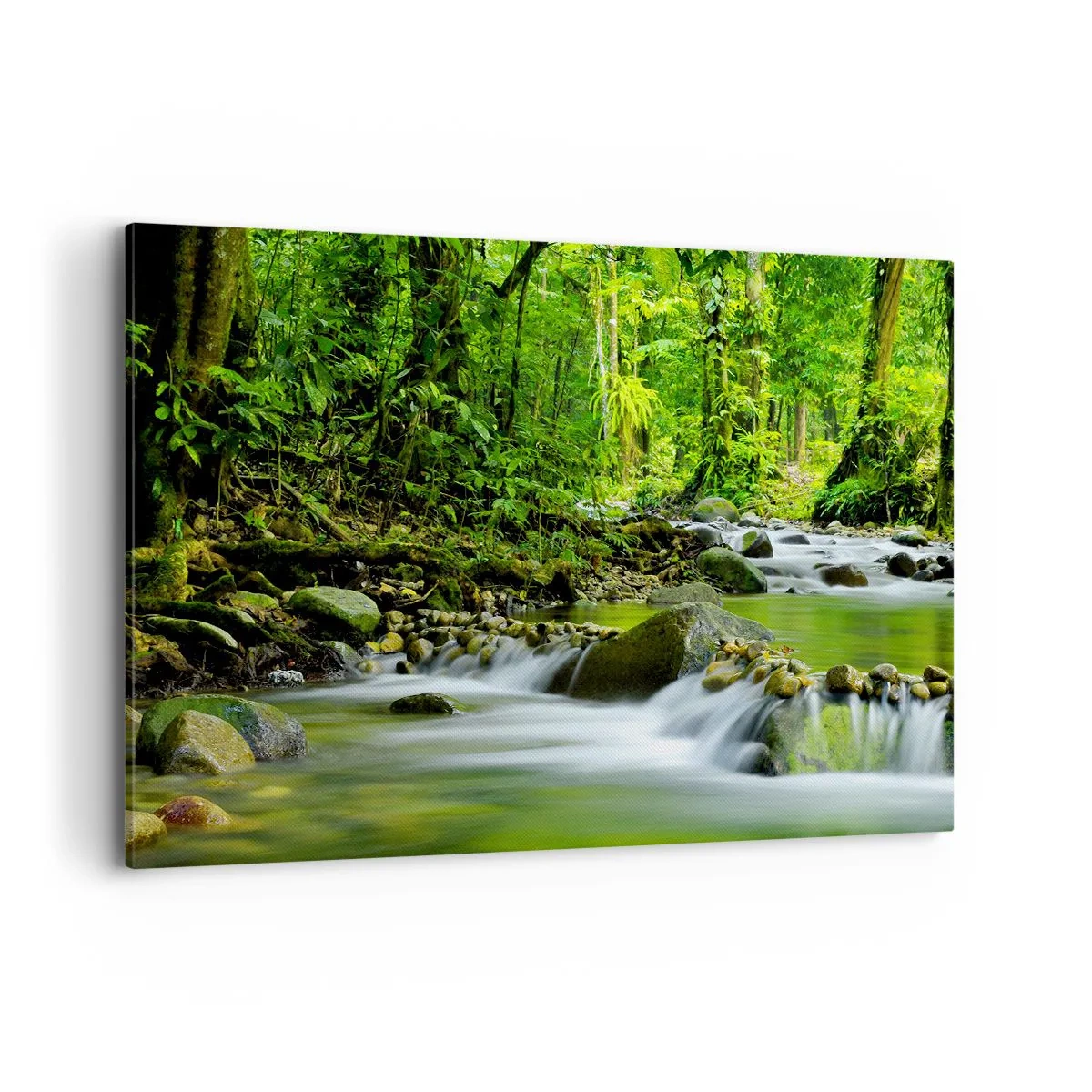 Obraz na plátně - Plout mořem zeleně - 100x70 cm