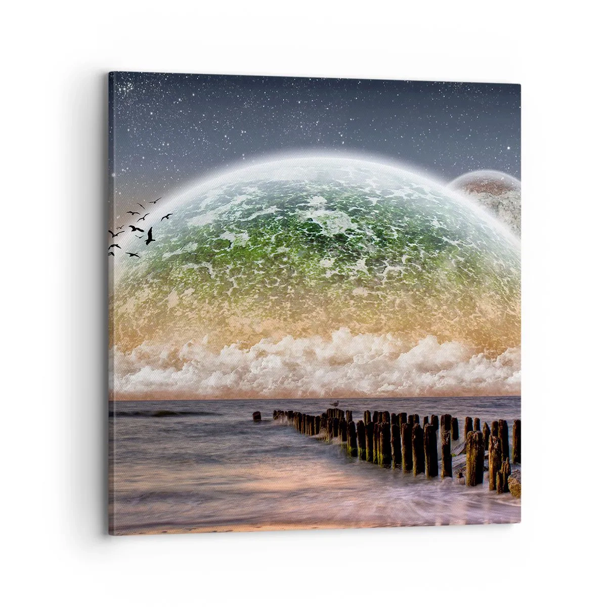 Obraz na plátně - A svět se vynořil z vody - 70x70 cm