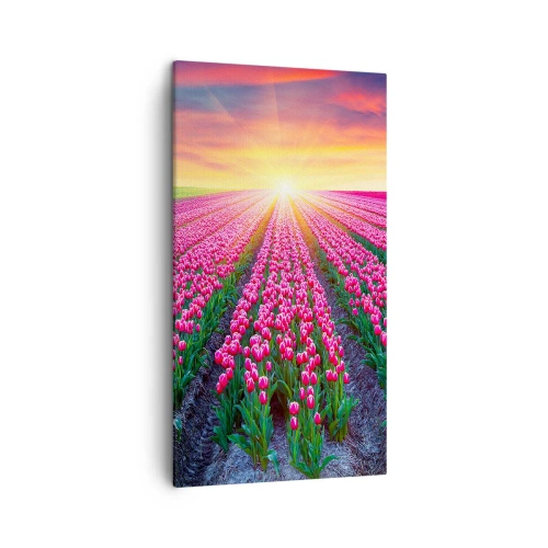 Obraz na plátně - Farma krásy - 45x80 cm