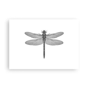 Plakát - Přesnost přírody - 70x50 cm