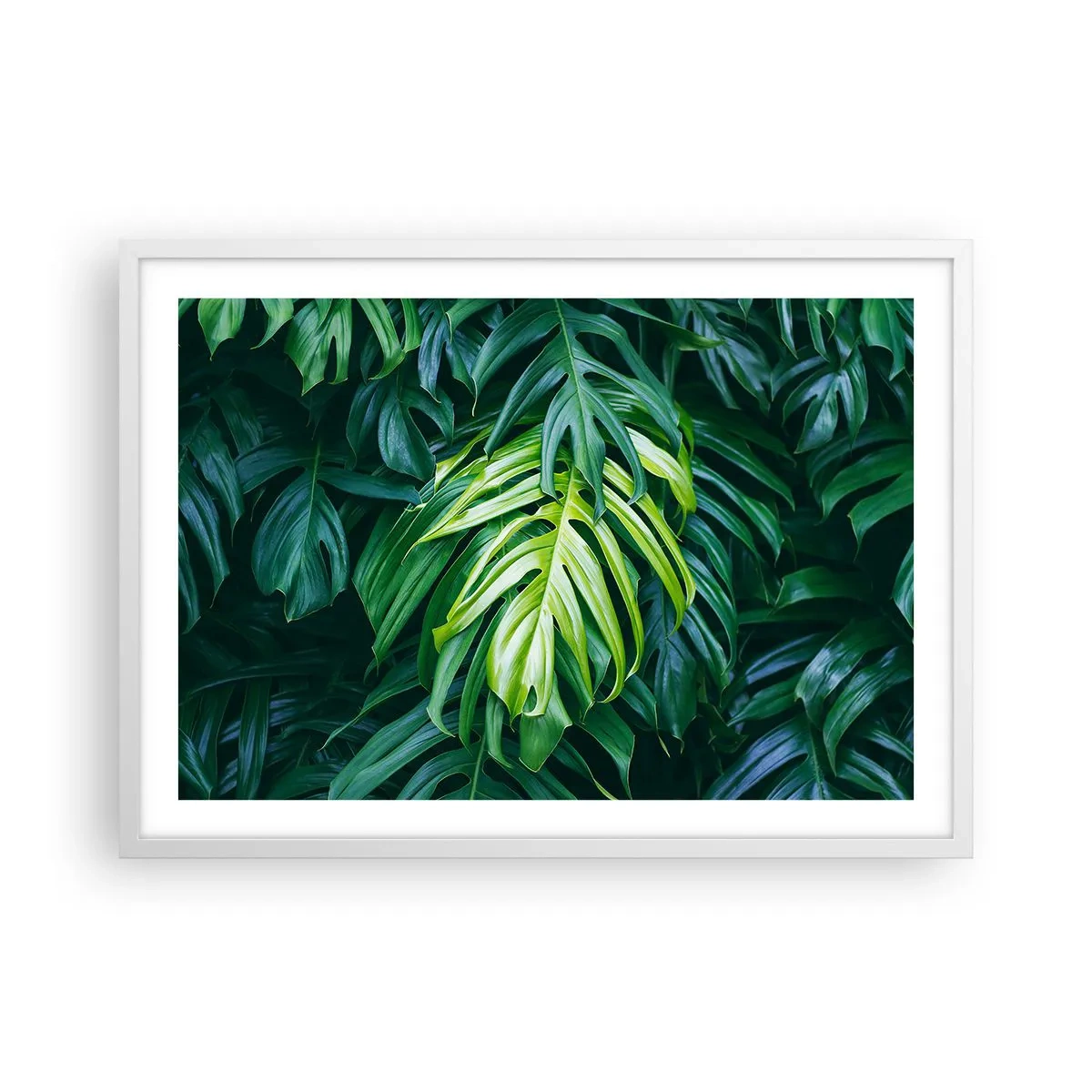 Plakát v bílém rámu - Ponořit se do svěžesti - 70x50 cm