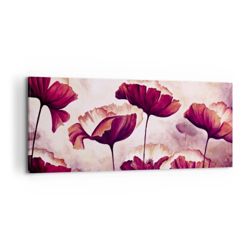 Obraz na plátně - Červený a bílý plátek - 100x40 cm