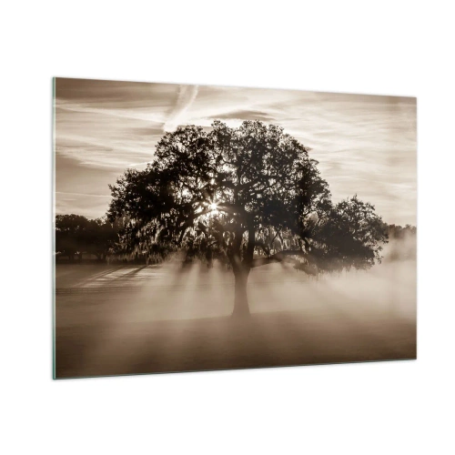 Obraz na skle - Strom zpráv samotného dobra - 100x70 cm