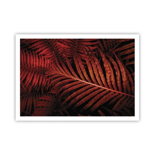 Plakát - Žár života - 100x70 cm