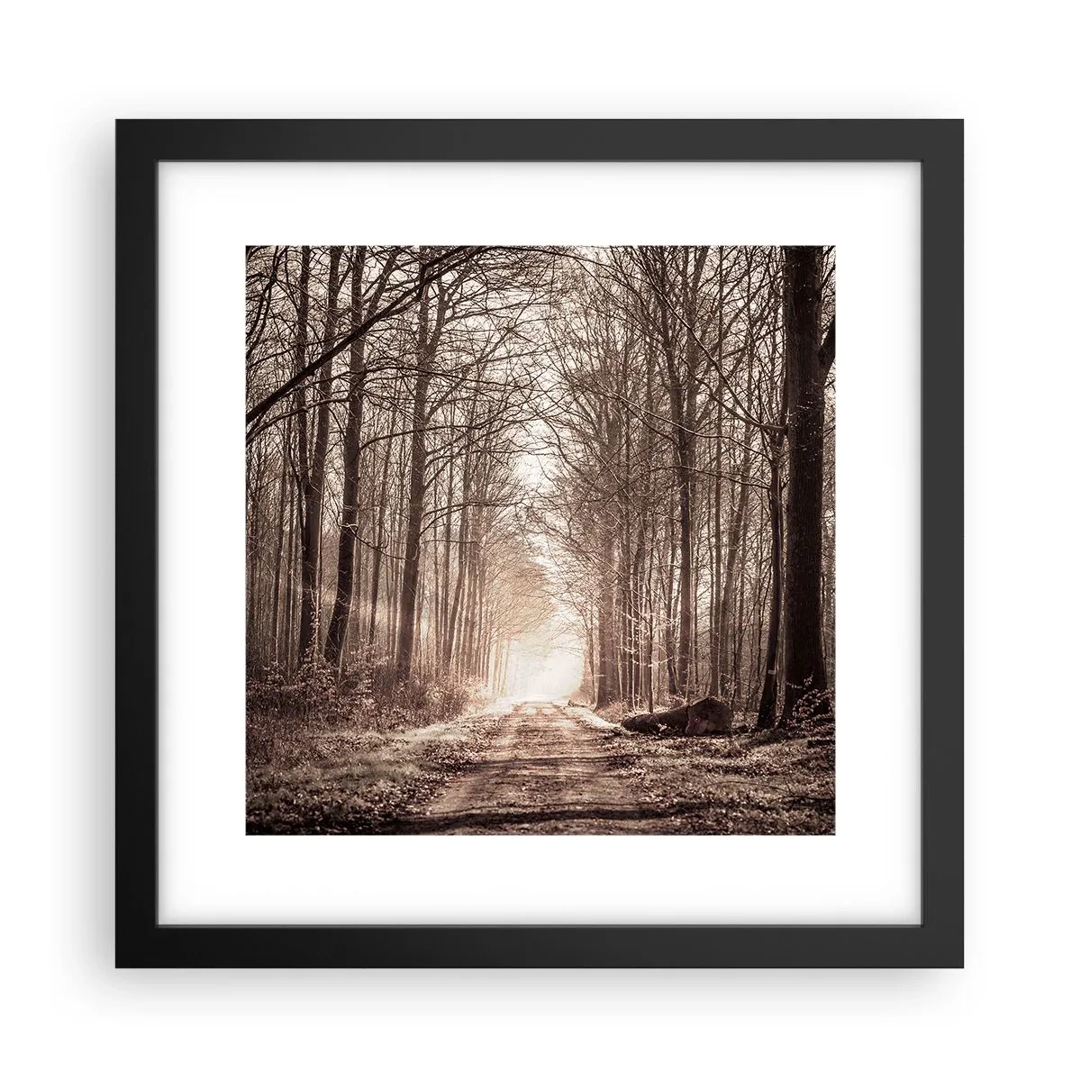 Plakát v černém rámu - Lesní katedrála - 30x30 cm