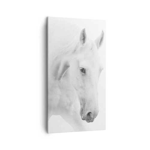 Obraz na plátně - Je to přátelství…? - 45x80 cm