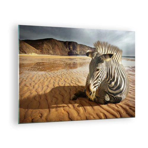 Obraz na skle - Zebra odpočívá na pláži při západu slunce - 70x50cm - Hodíme se k sobě - Moderní nástěnná dekorace do obývacího pokoje a ložnice ARTTOR