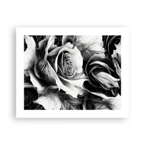 Plakát - Vždy královnou - 50x40 cm