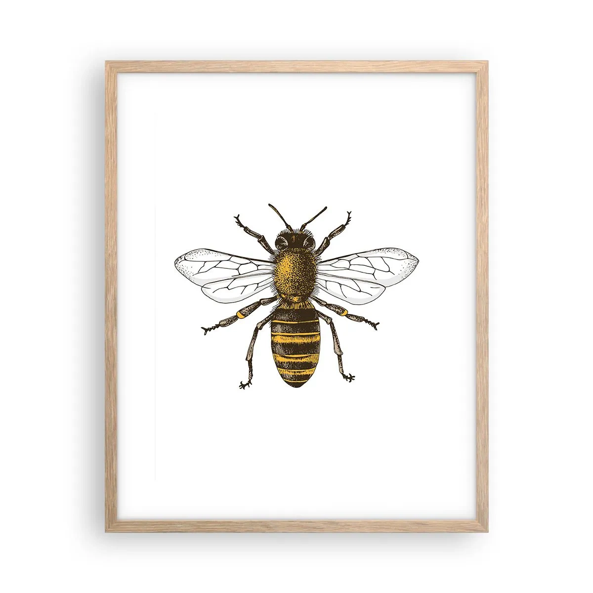 Plakát v rámu světlý dub - Krásná a dobrá - 40x50 cm