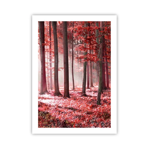 Plakát - Červená je stejně krásná - 50x70 cm