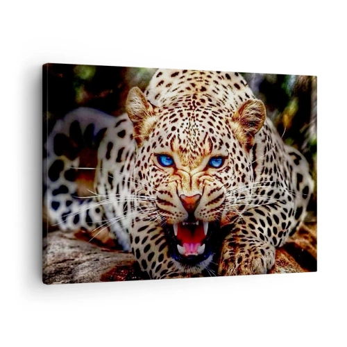 Obraz na plátně - Hrozivý leopard s intenzivně modrýma očima - 70x50cm - Vztek kráse neškodí - Moderní nástěnná dekorace do obývacího pokoje a ložnice ARTTOR