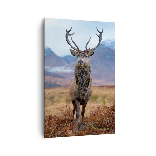 Obraz na plátně - Na vlastní půdě - 80x120 cm