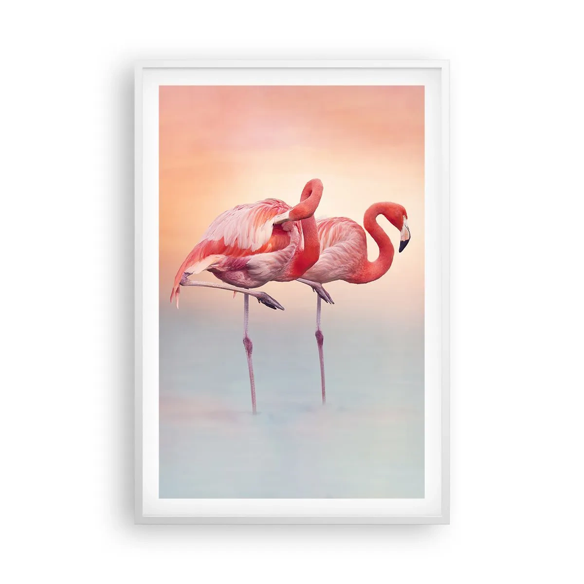 Plakát v bílém rámu - V barvě zapadajícího slunce - 61x91 cm