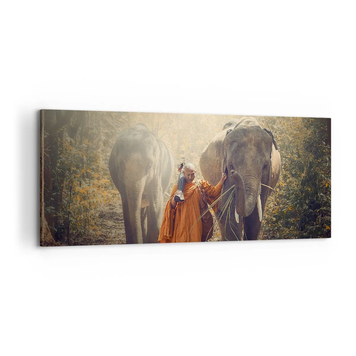 Obraz na plátně - Plné pochopení - 100x40 cm